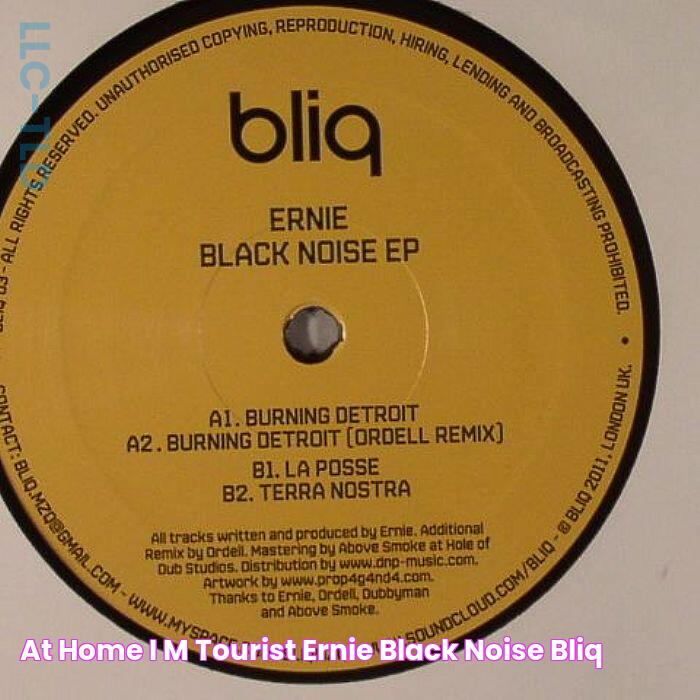 At home i'm tourist Ernie Black Noise [Bliq]