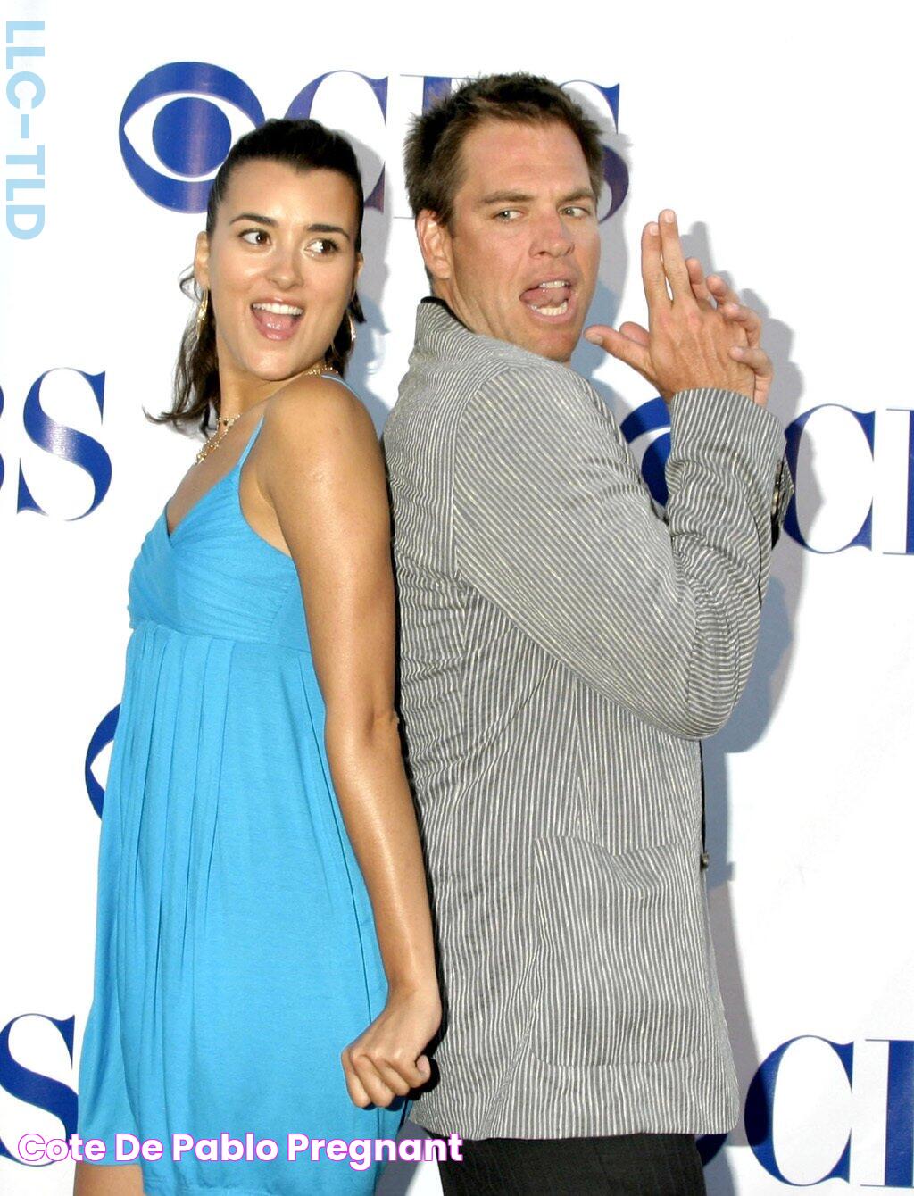 Cote de Pablo pregnant?