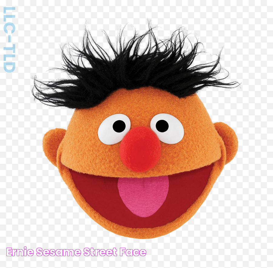 Ernie Sesame Street Face