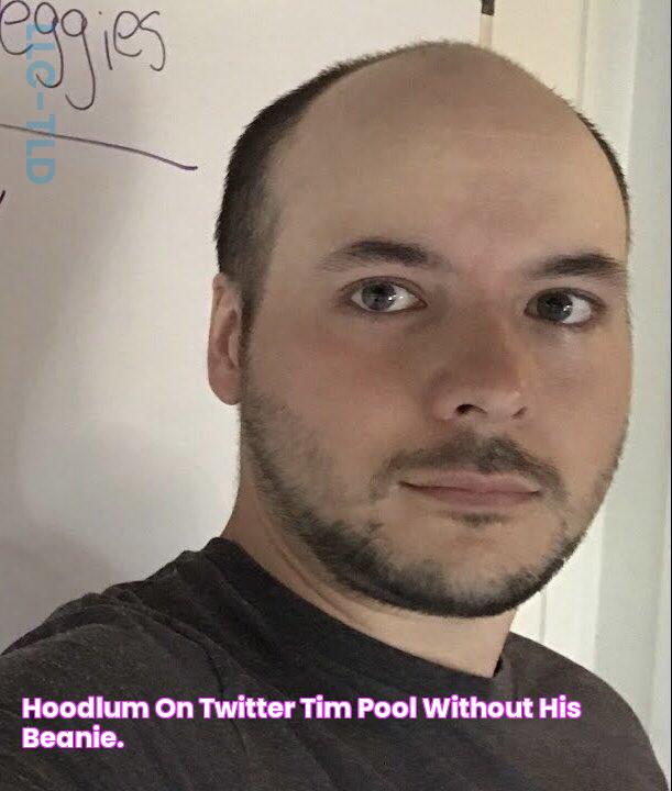 Hoodlum 🇺🇸 on Twitter "Tim Pool without his beanie."