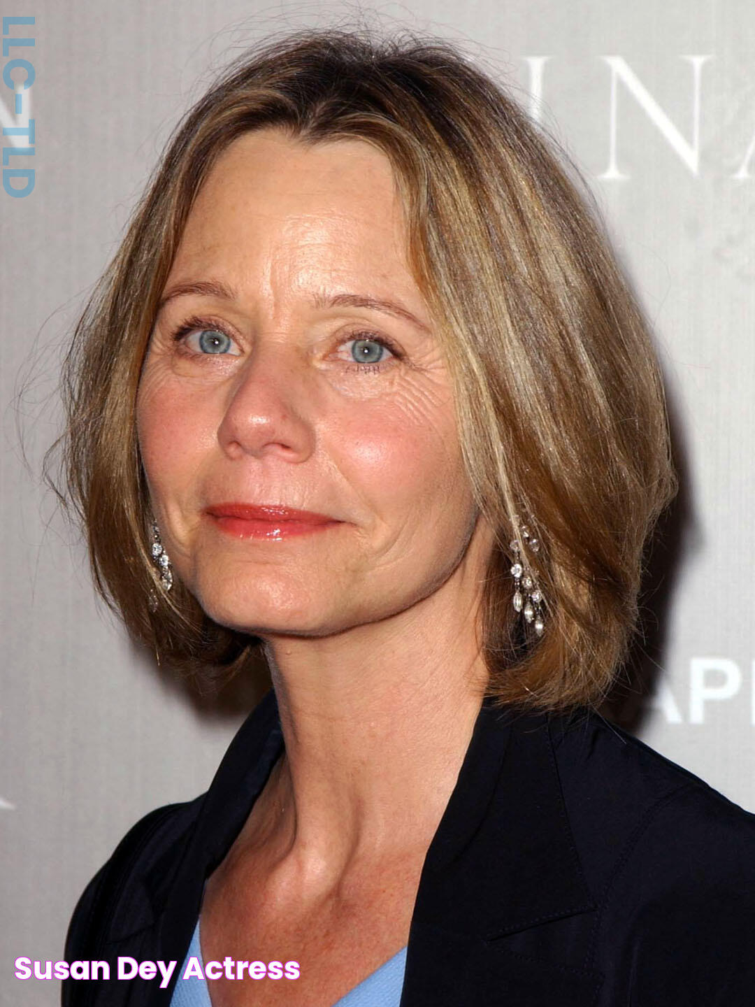 Susan Dey Actress