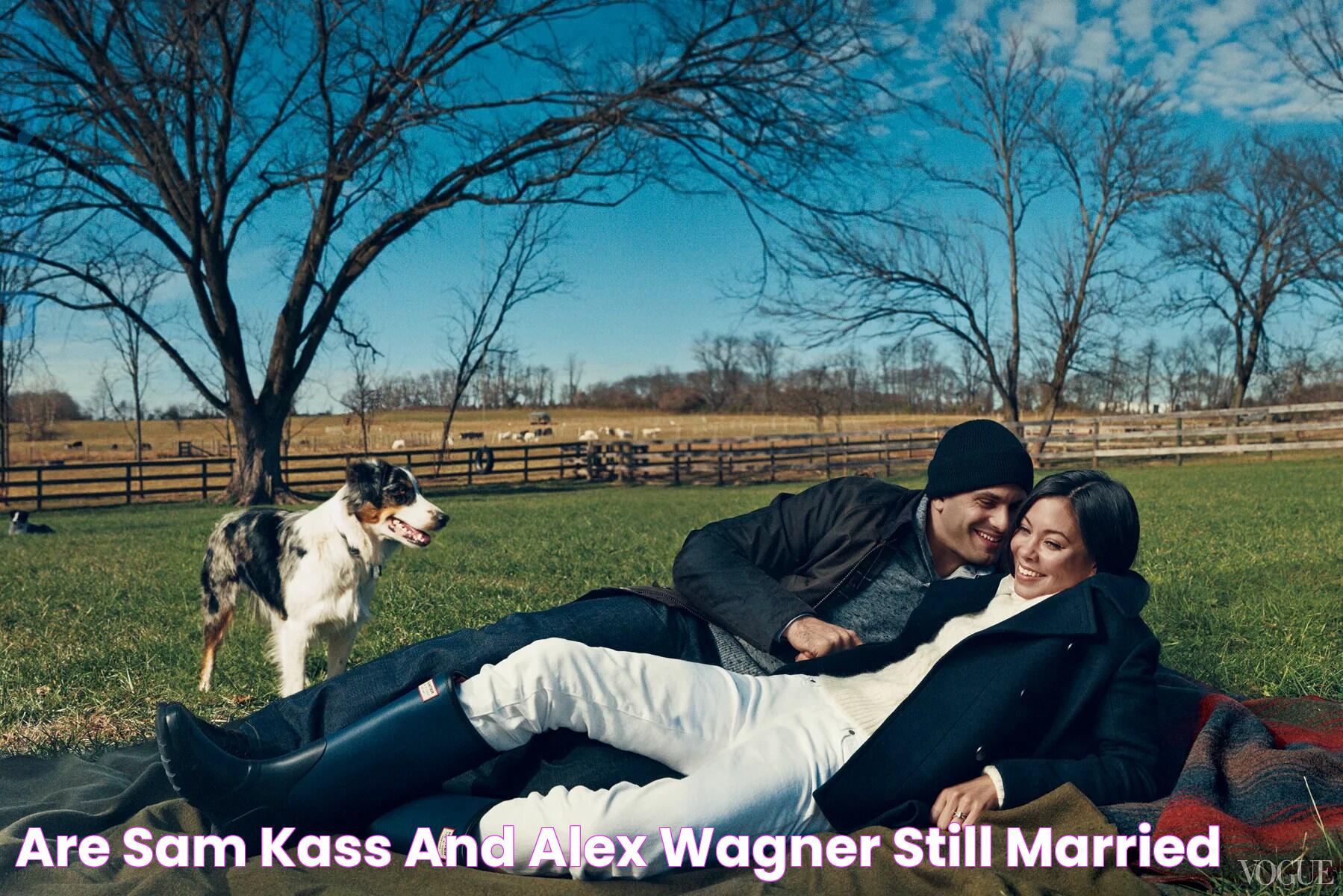 Are Sam Kass And Alex Wagner Still Married?