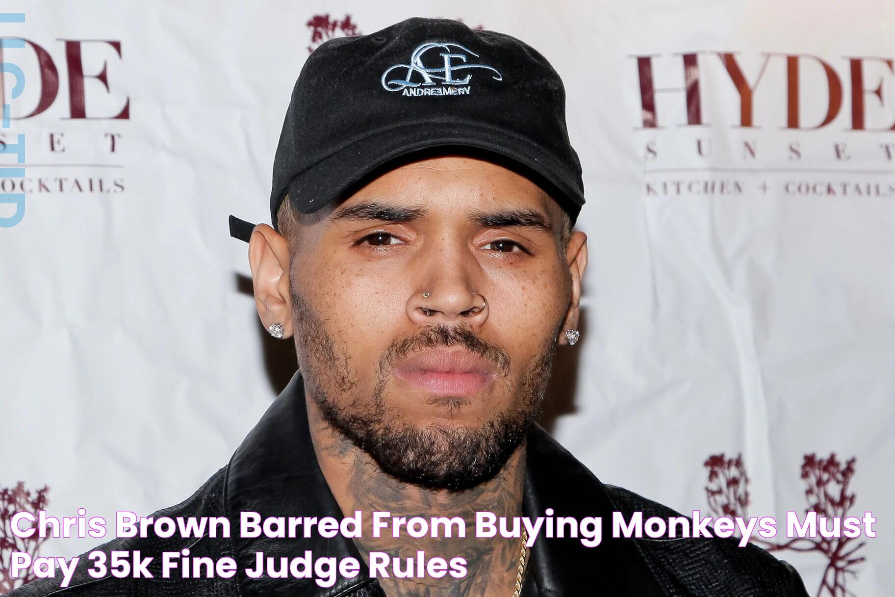 The Latest On Chris Brown: News, Music, And More