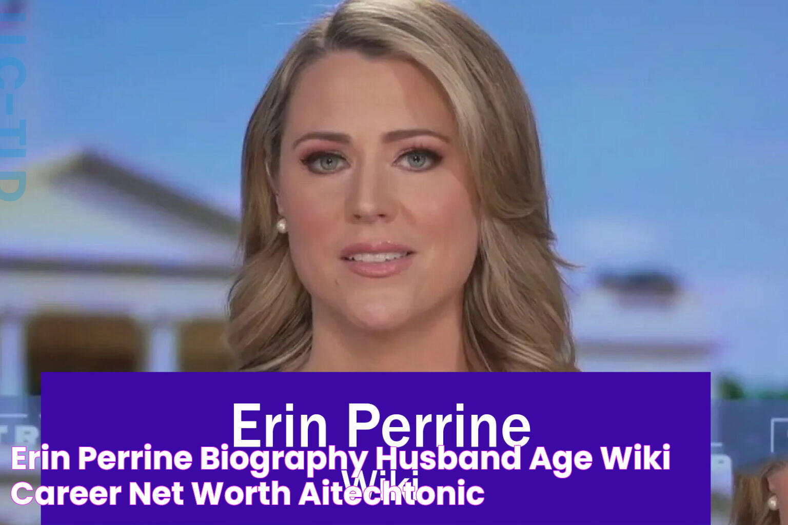 Erin Perrine Biography, Husband, Age, Wiki, Career, Net Worth Aitechtonic