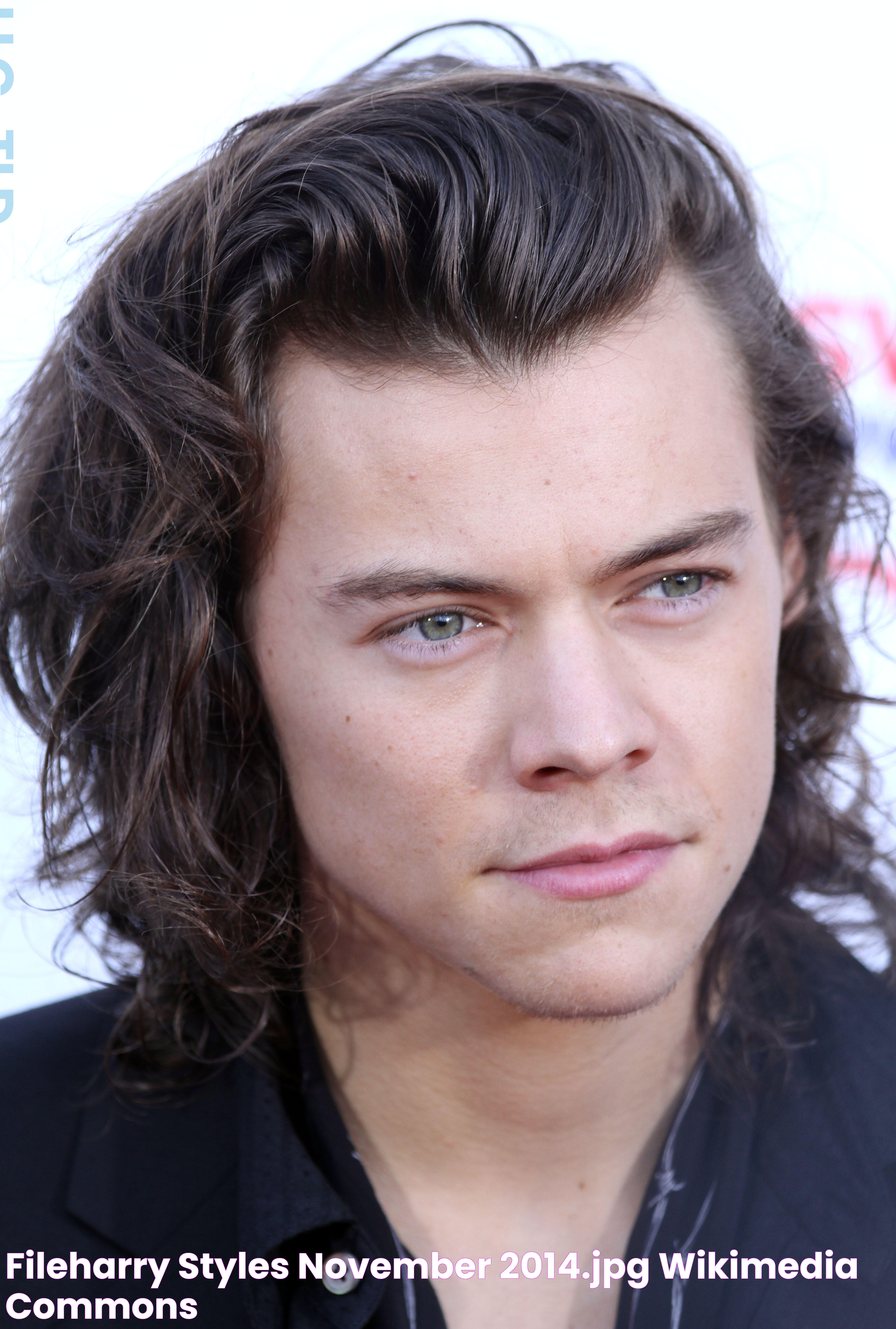 FileHarry Styles November 2014.jpg Wikimedia Commons