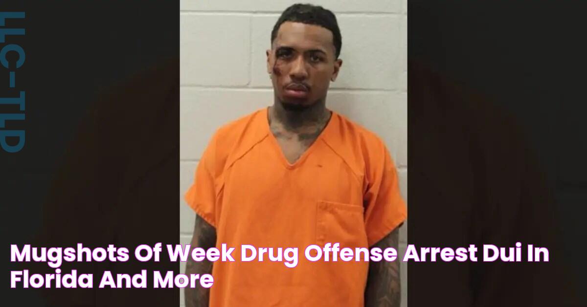 Mugshots of Week Drug Offense Arrest; DUI in Florida; and More