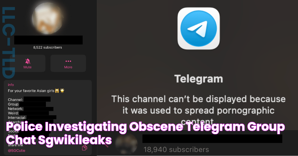 Police investigating obscene Telegram group chat 'SGWikiLeaks