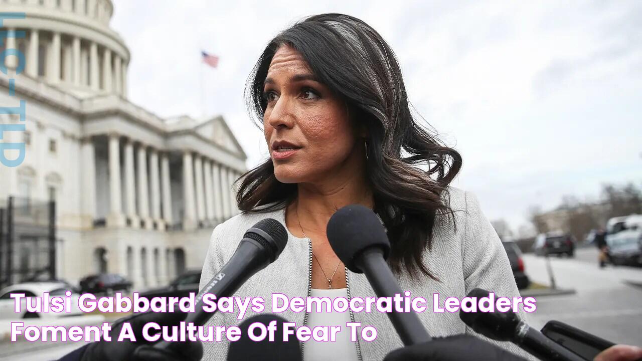 Tulsi Gabbard says Democratic leaders 'foment a culture of fear' to