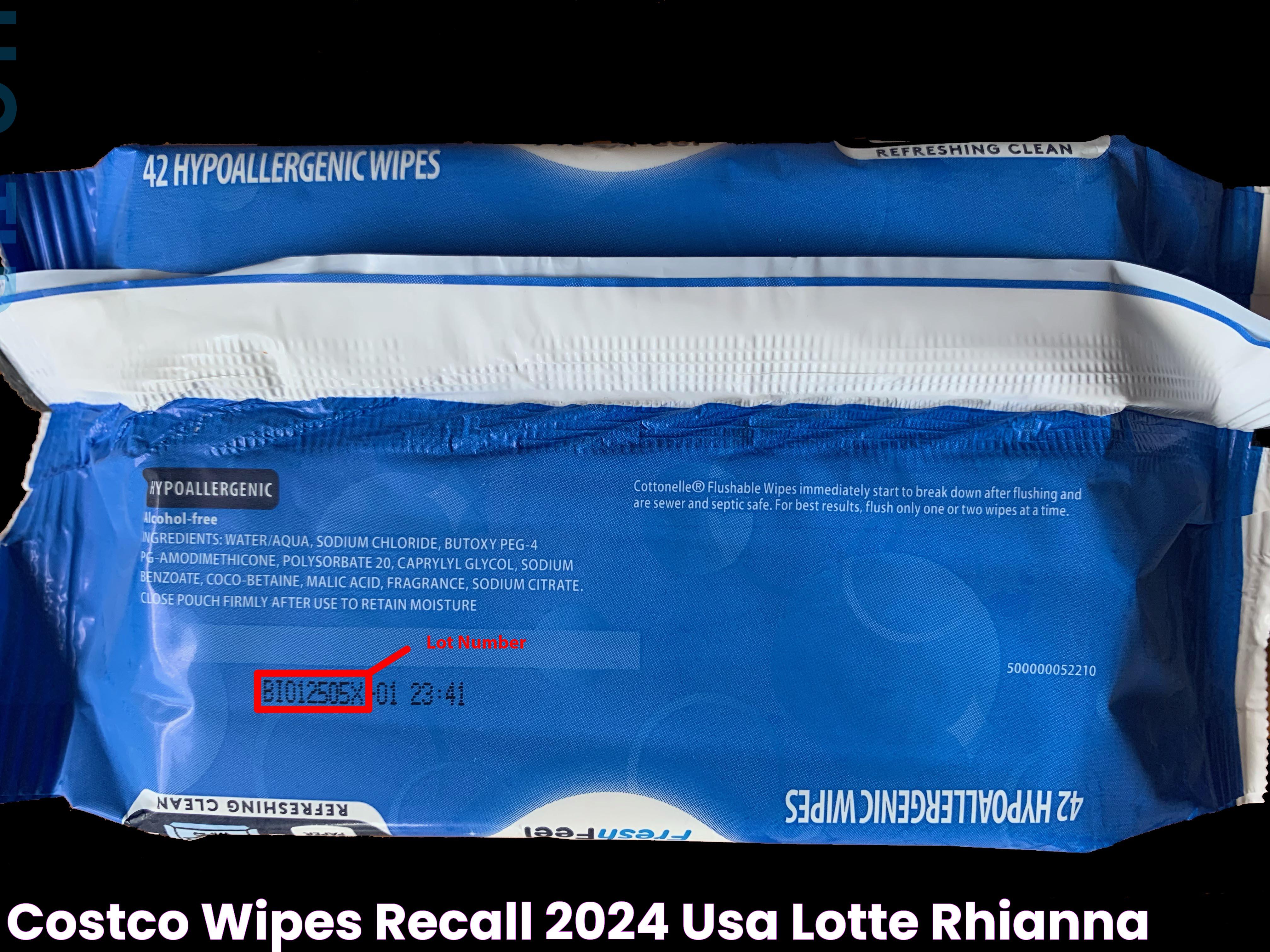 Costco Wipes Recall 2024 Usa Lotte Rhianna