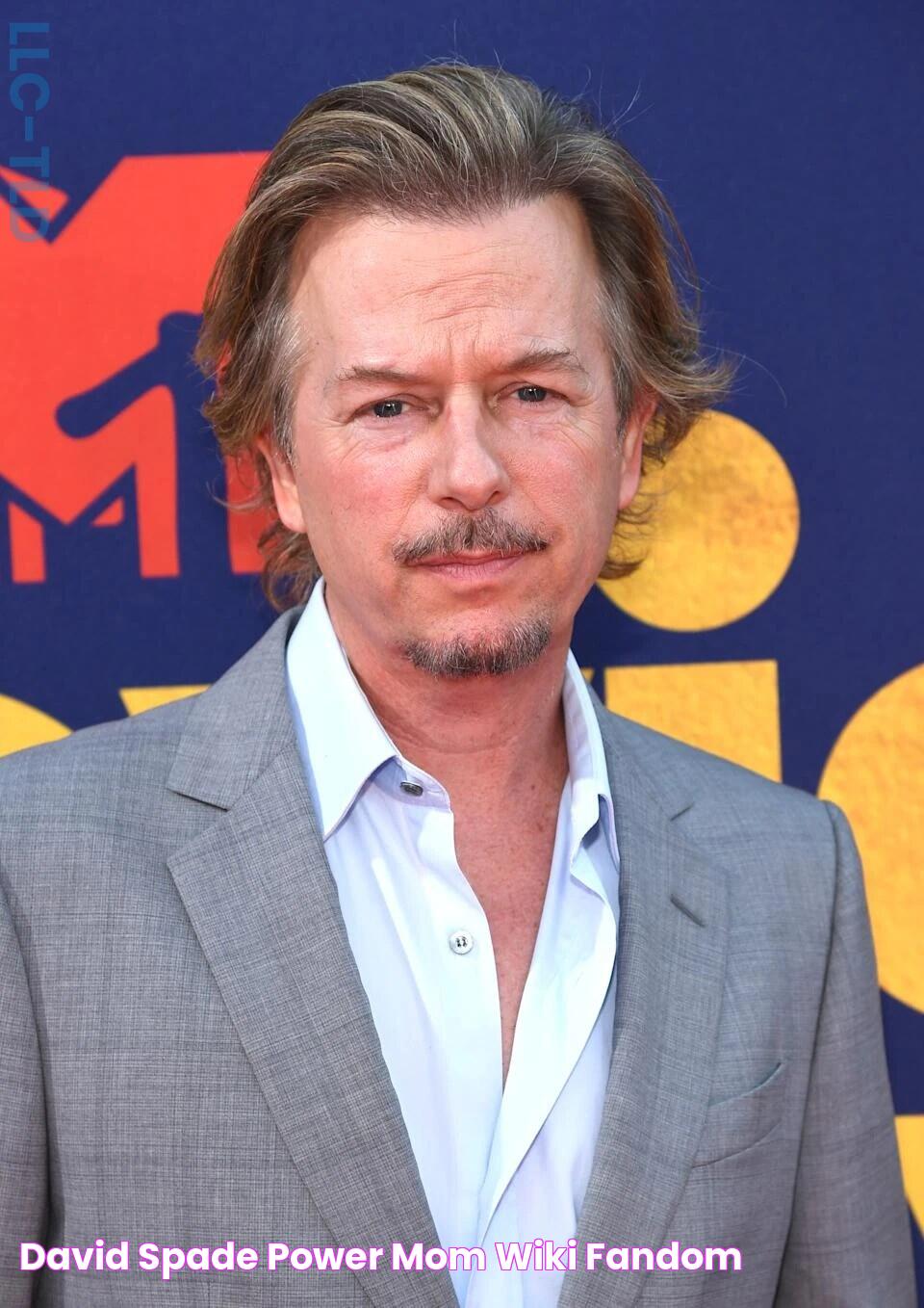 David Spade Power Mom! Wiki Fandom