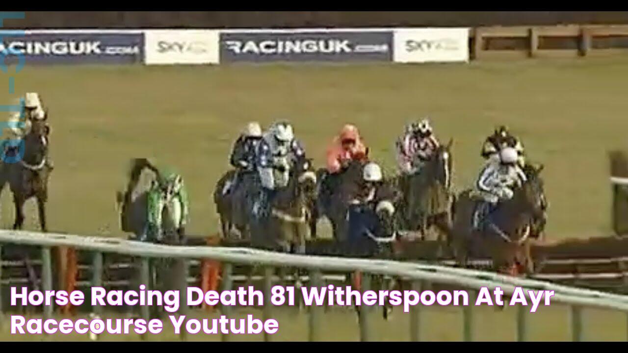 Horse Racing Death 81 Witherspoon at Ayr Racecourse YouTube