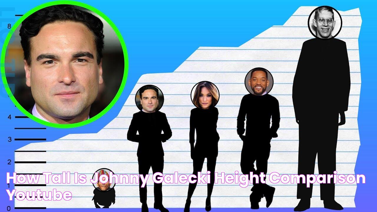 How Tall Is Johnny Galecki? Height Comparison! YouTube