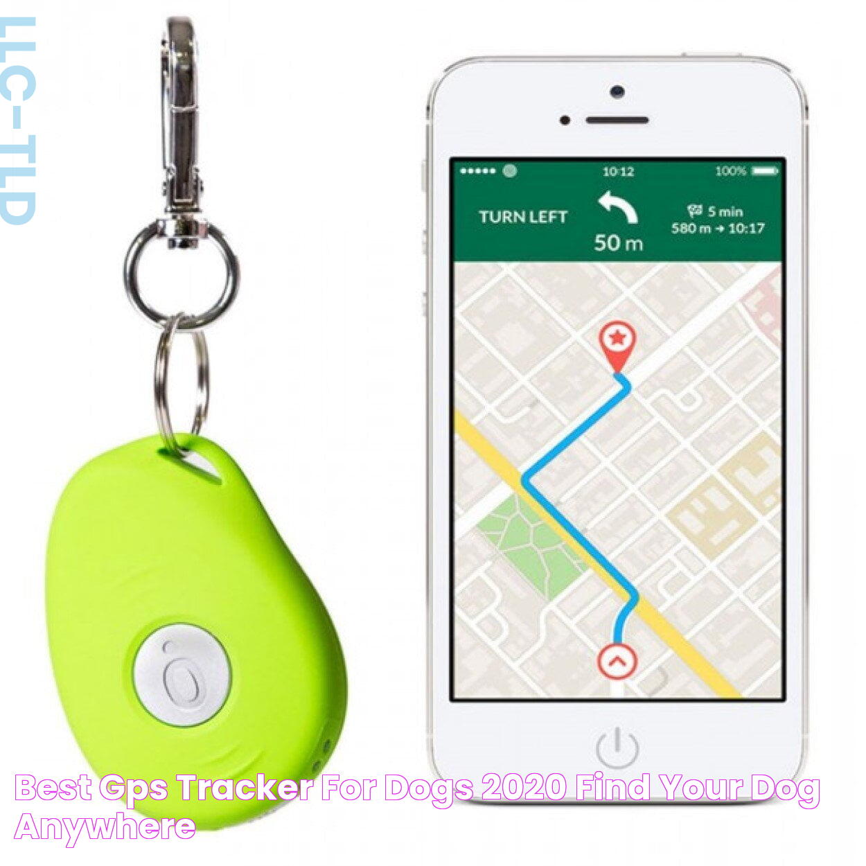 Best GPS Tracker for Dogs 2020 Find Your Dog ANYWHERE