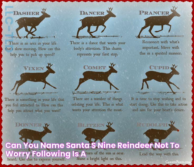 The Definitive Guide To The 12 Reindeer: Names And Order