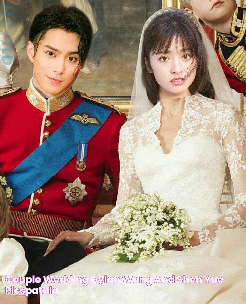 Couple Wedding Dylan Wang And Shen Yue picspatula