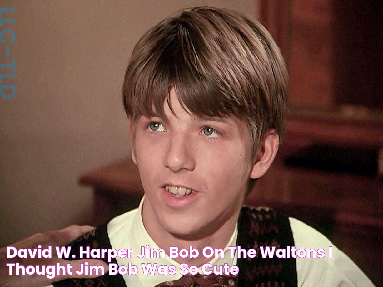 David W. Harper Jim Bob on The Waltons I thought Jim Bob was so cute