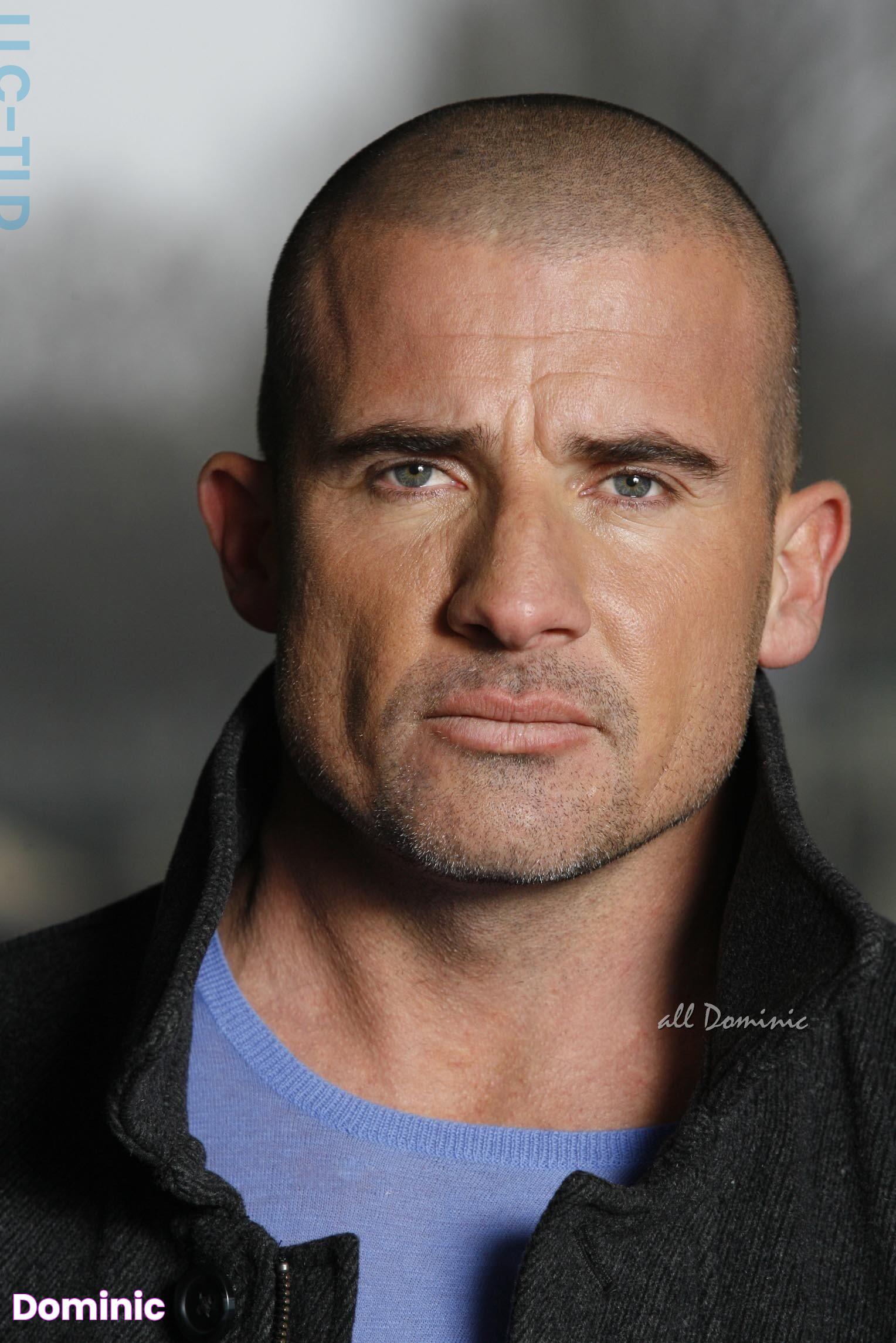 Discover The Action-Packed World Of Dominic Purcell: A Hollywood Icon