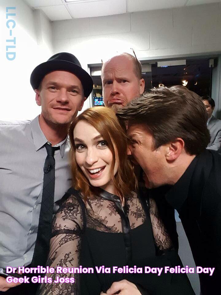 Dr Horrible reunion! (via Felicia Day) Felicia day, Geek girls, Joss