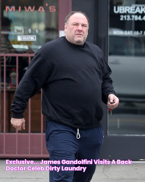 Exclusive... James Gandolfini Visits A Back Doctor Celeb Dirty Laundry