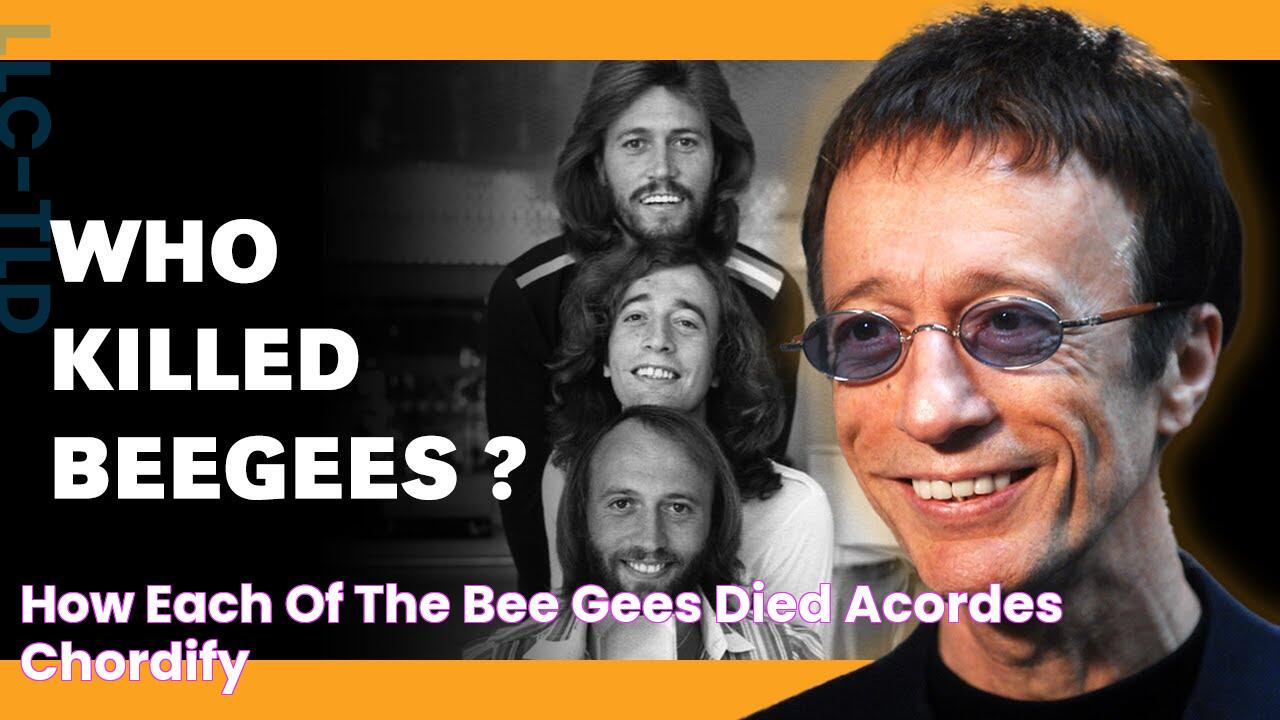 How Each of the Bee Gees Died Acordes Chordify