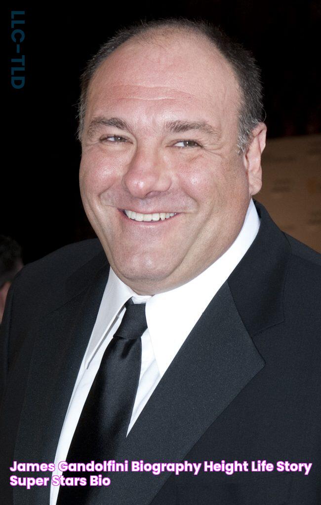 Dissecting James Gandolfini's Height: Insights And Significance