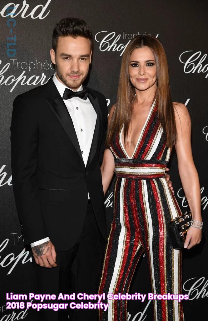 Liam Payne and Cheryl Celebrity Breakups 2018 POPSUGAR Celebrity