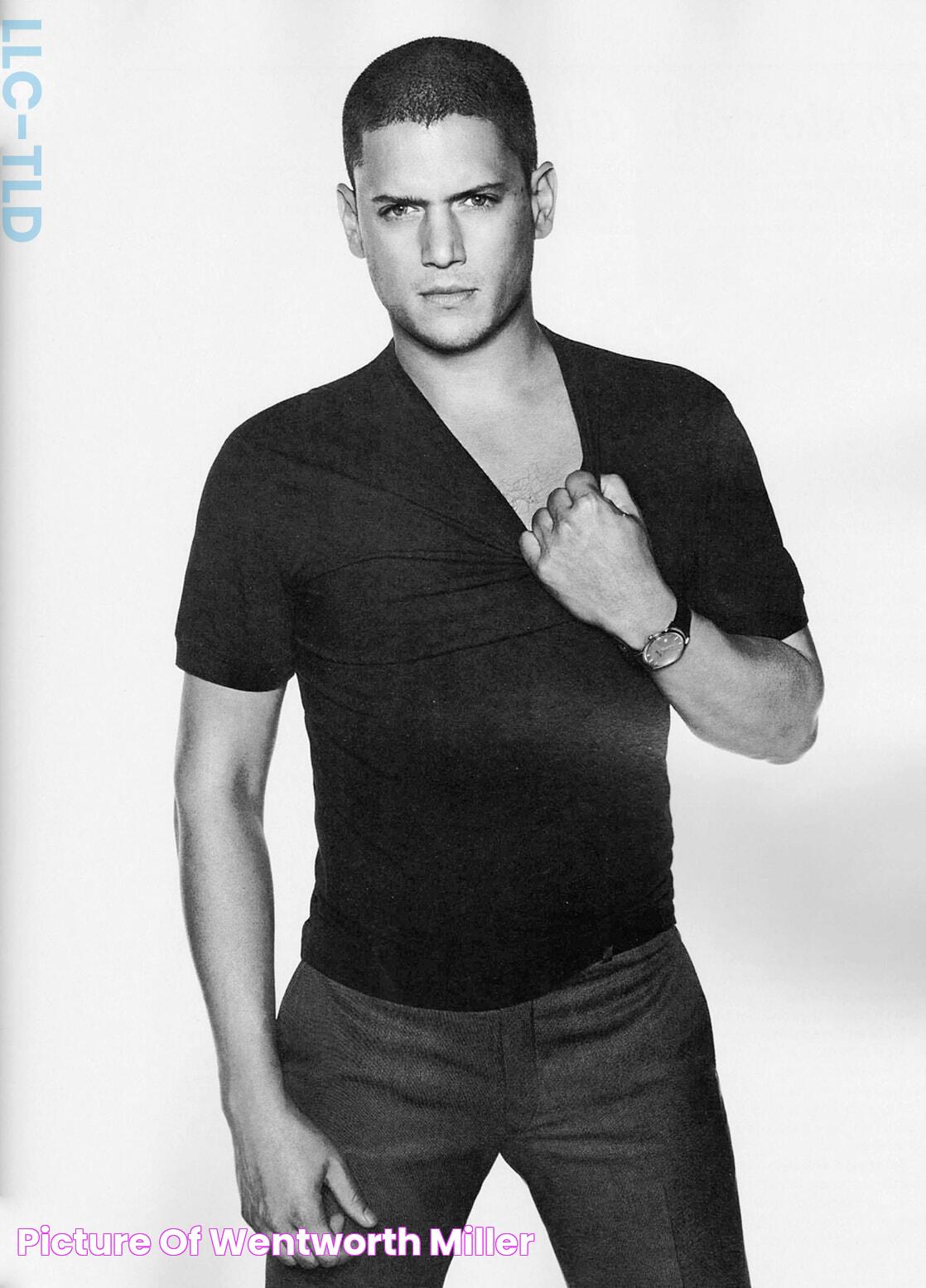 Picture of Wentworth Miller