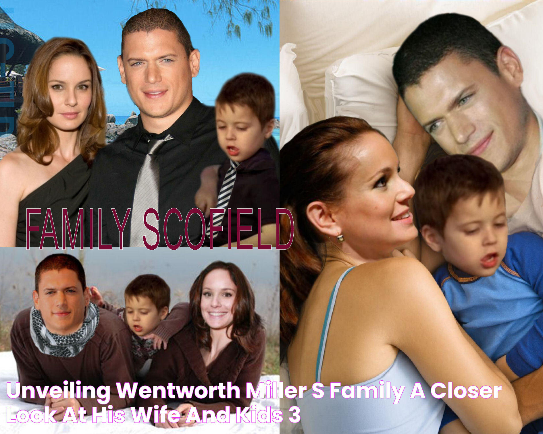 Wentworth Miller's Marriage And Family: Uncovering The Truth