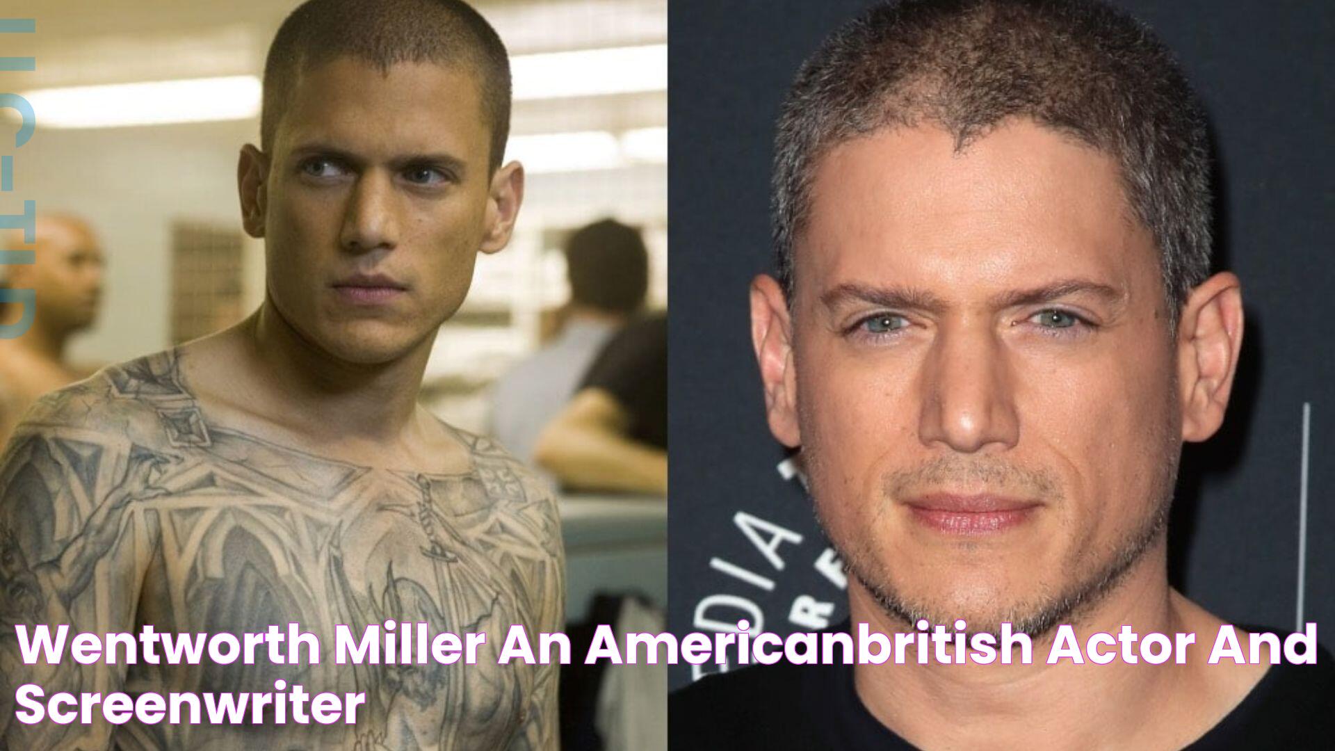 Wentworth Miller An AmericanBritish Actor And Screenwriter