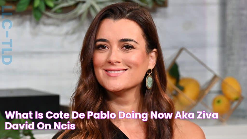 What is Cote de Pablo doing now? Aka Ziva David on NCIS