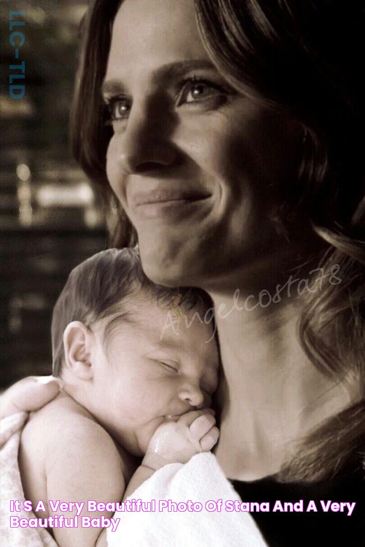 The Ultimate Guide To Stana Katic's Baby: Everything You Need To Know