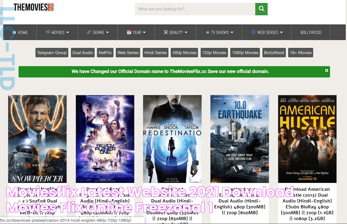 MoviesFlix Latest Website 2021, Download Movies Flix Online FreeZonal