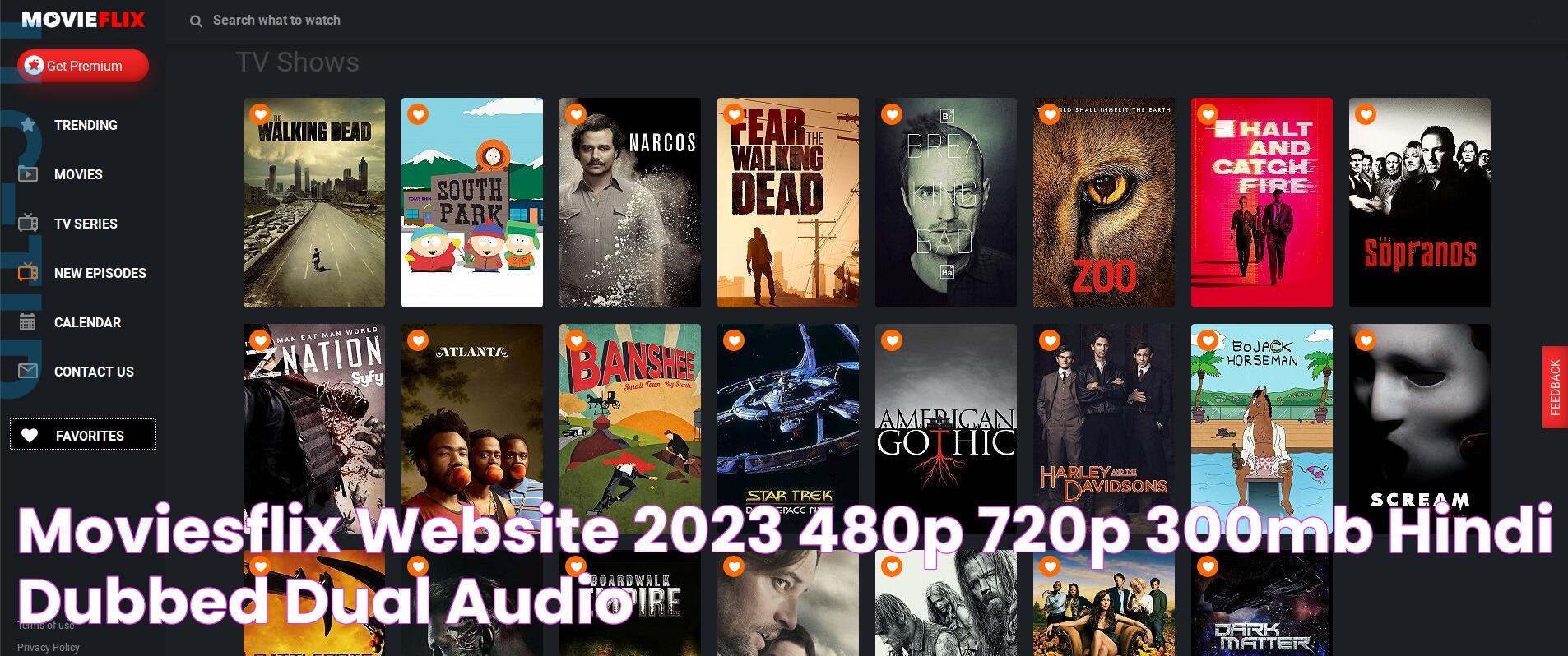 Moviesflix Website 2023 480p 720p 300MB Hindi Dubbed Dual Audio