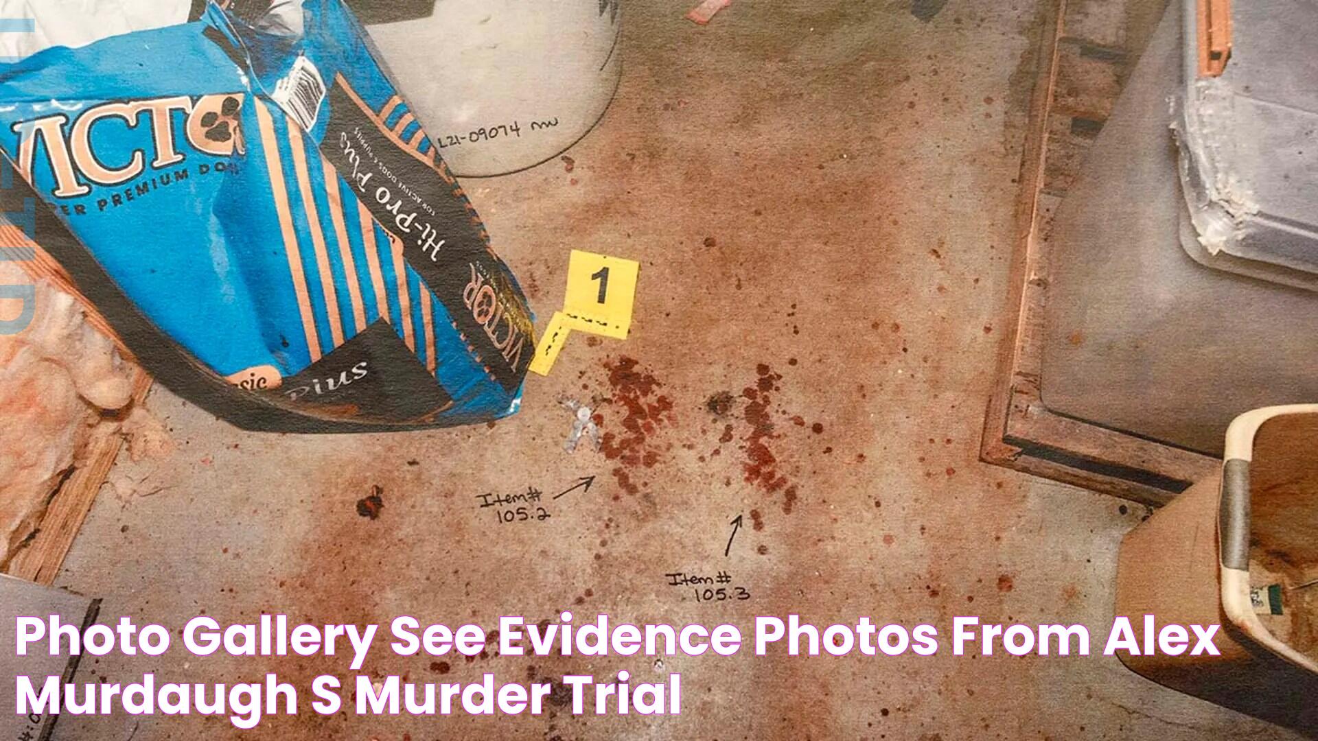 Shocking: See The Crime Scene Photos Of Karl Denio