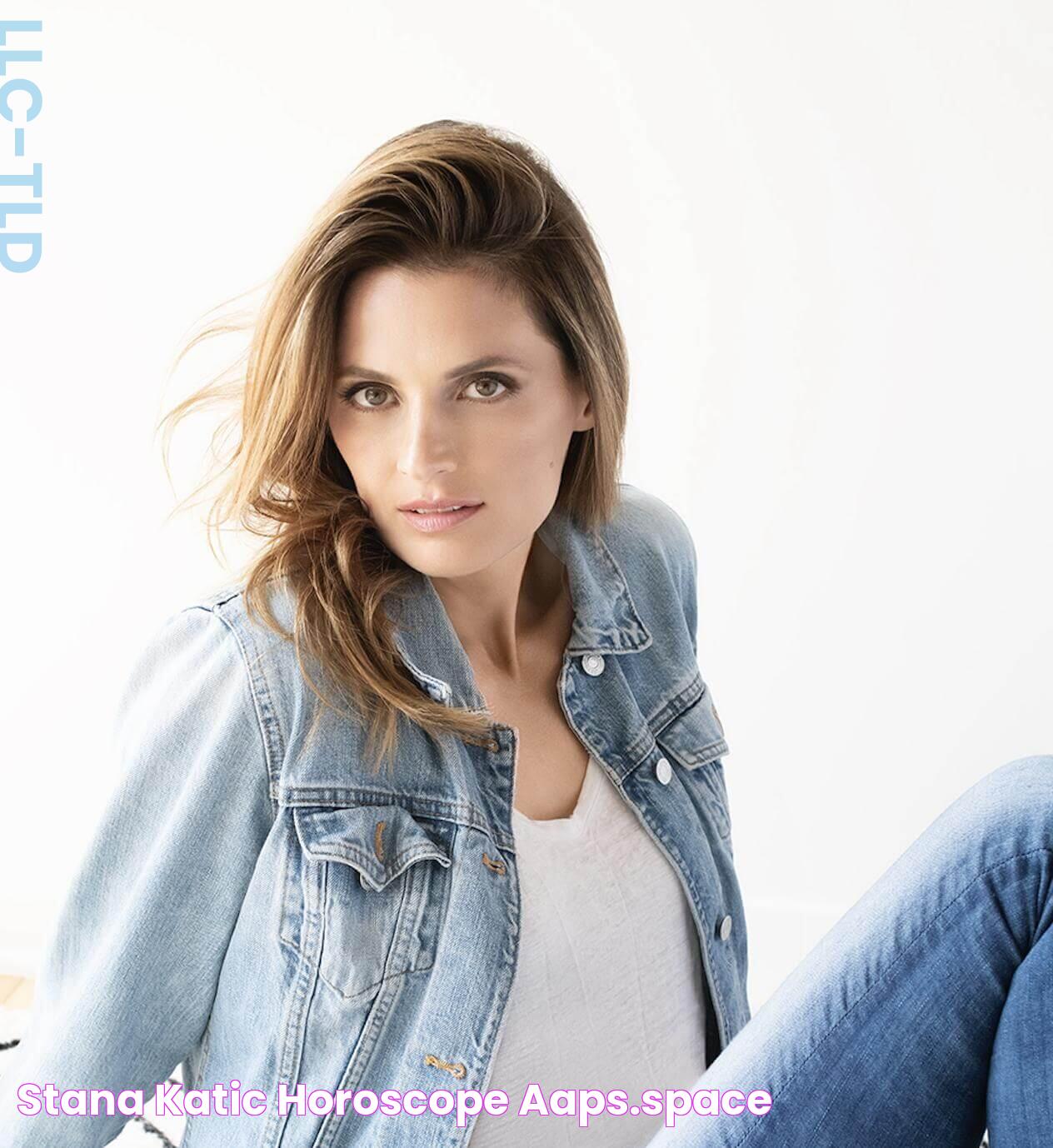 Stana Katic: From Acting To Doctorate