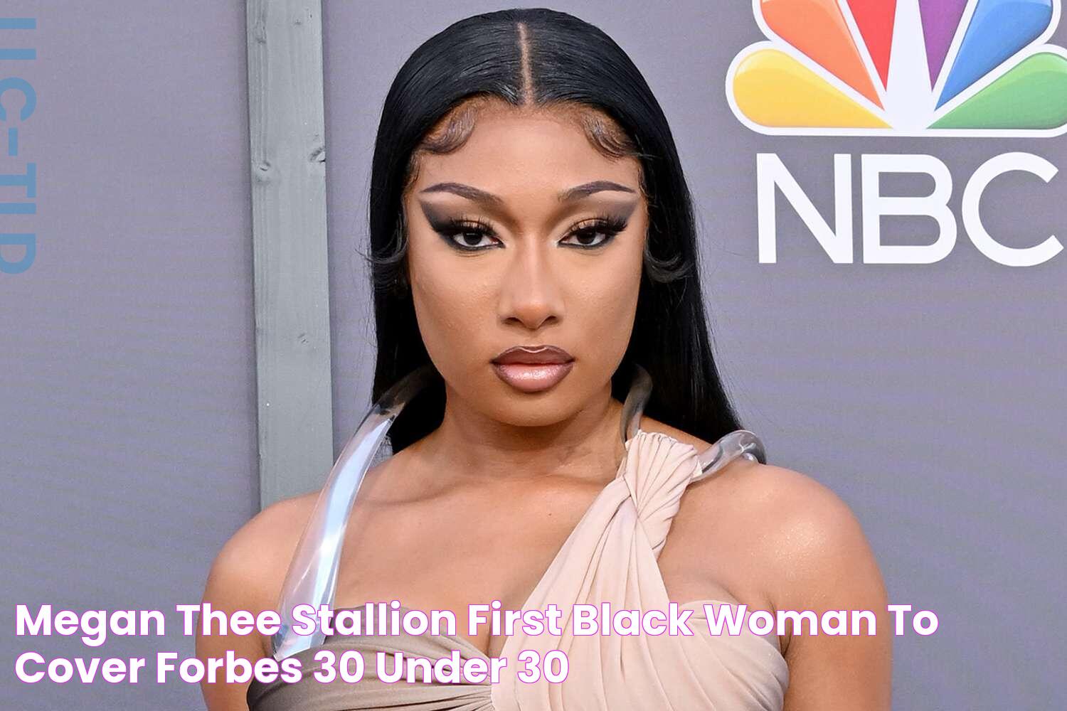 Megan Thee Stallion's Restraining Order Saga: The Legal Battle Unfolds