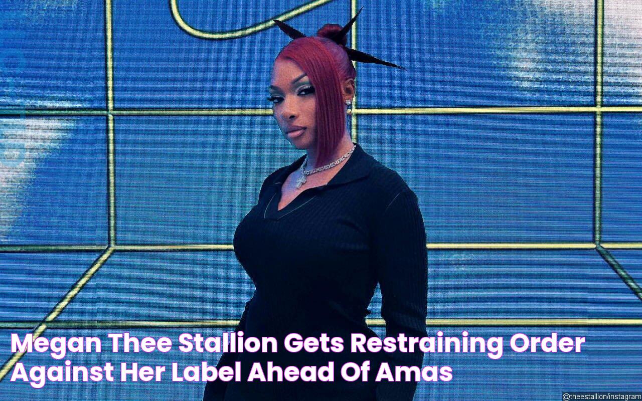 Megan Thee Stallion Gets Restraining Order Against Her Label Ahead of AMAs