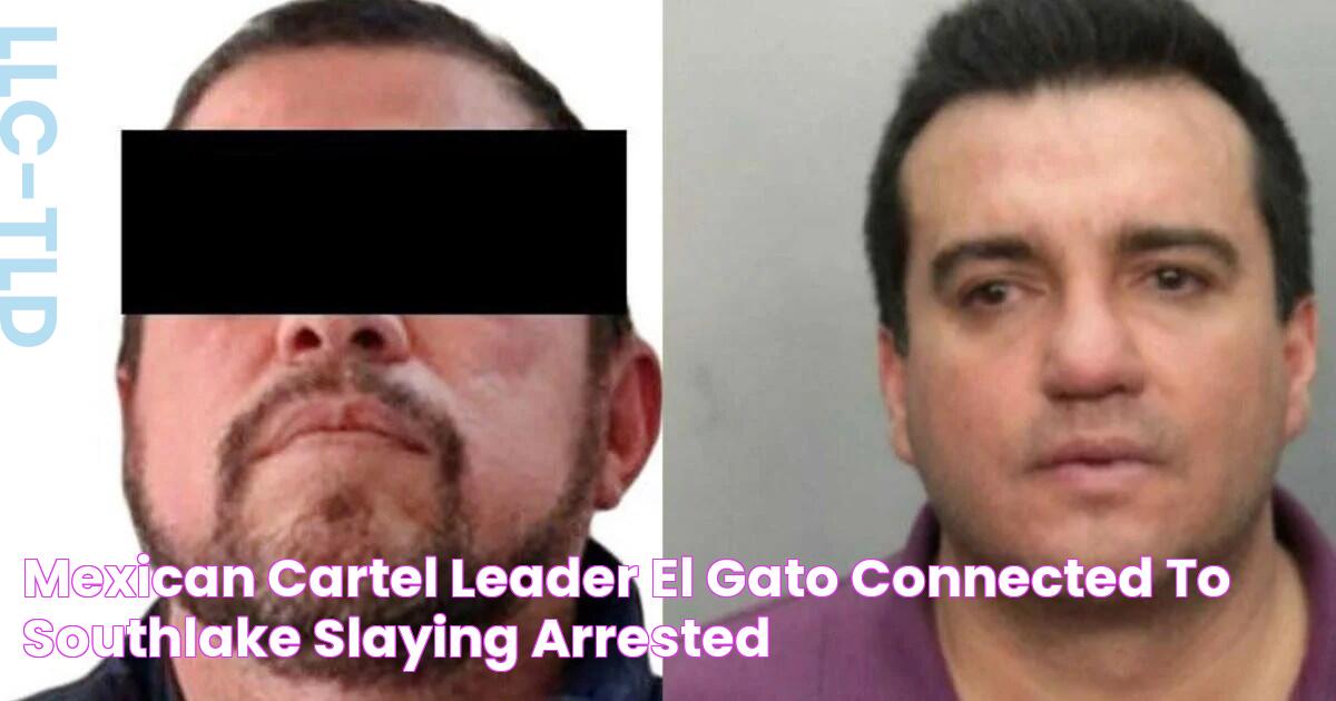 Mexican cartel leader 'El Gato' connected to Southlake slaying arrested