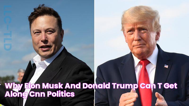 Why Elon Musk and Donald Trump can’t get along CNN Politics