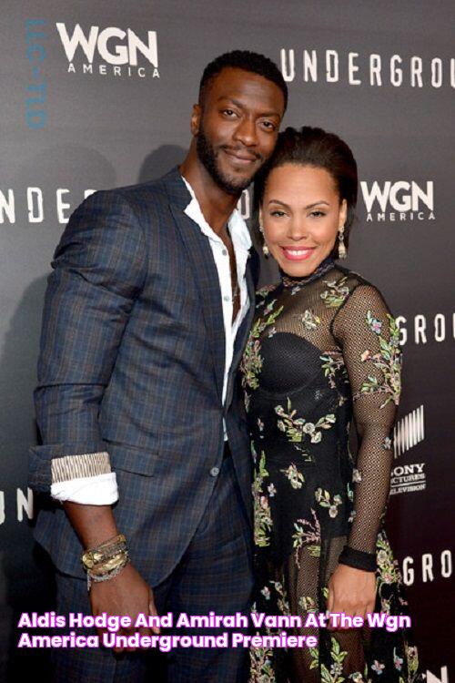 Aldis Hodge and Amirah Vann at the WGN America Underground Premiere