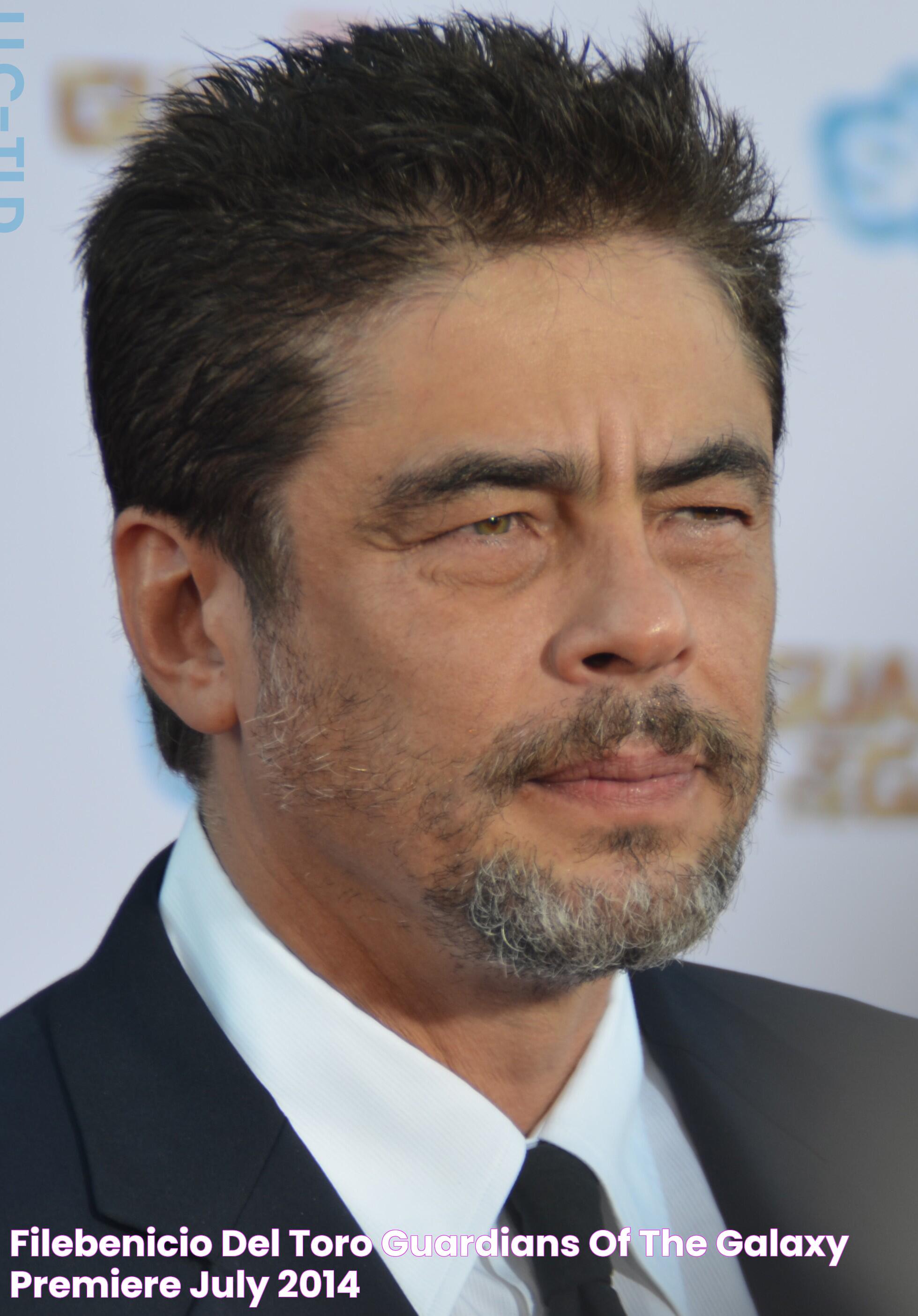 FileBenicio Del Toro Guardians of the Galaxy premiere July 2014