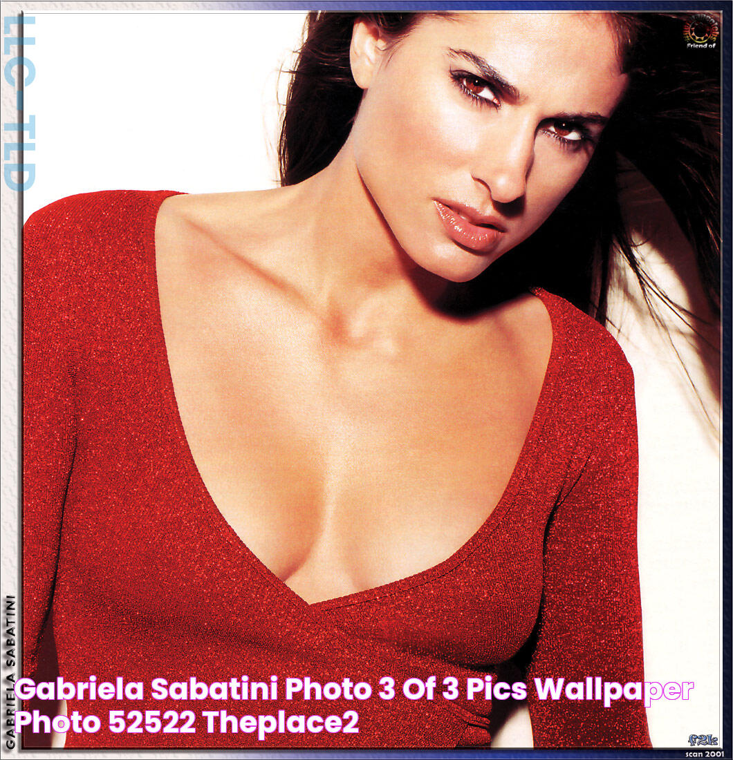 Gabriela Sabatini photo 3 of 3 pics, wallpaper photo 52522 ThePlace2