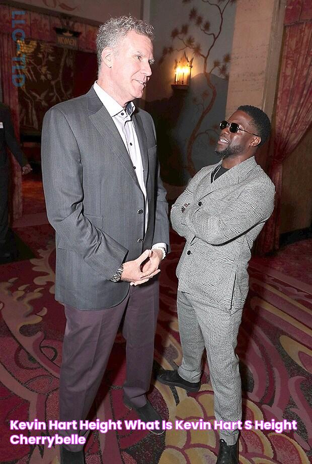 Kevin Hart Height What Is Kevin Hart's Height? cherrybelle