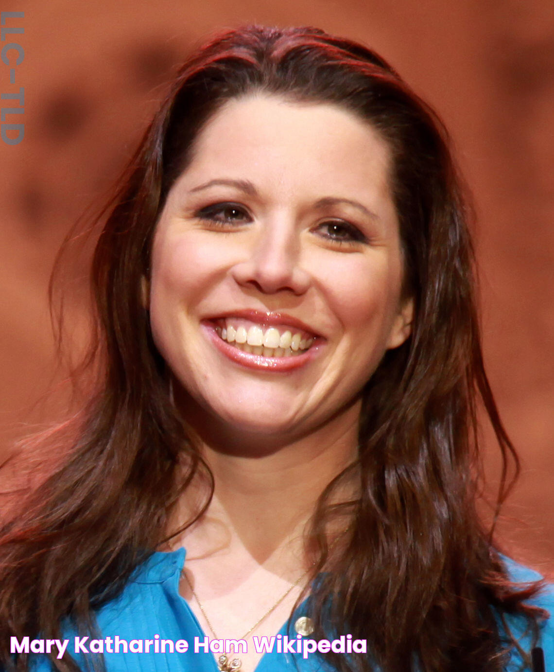 Mary Katharine Ham Wikipedia