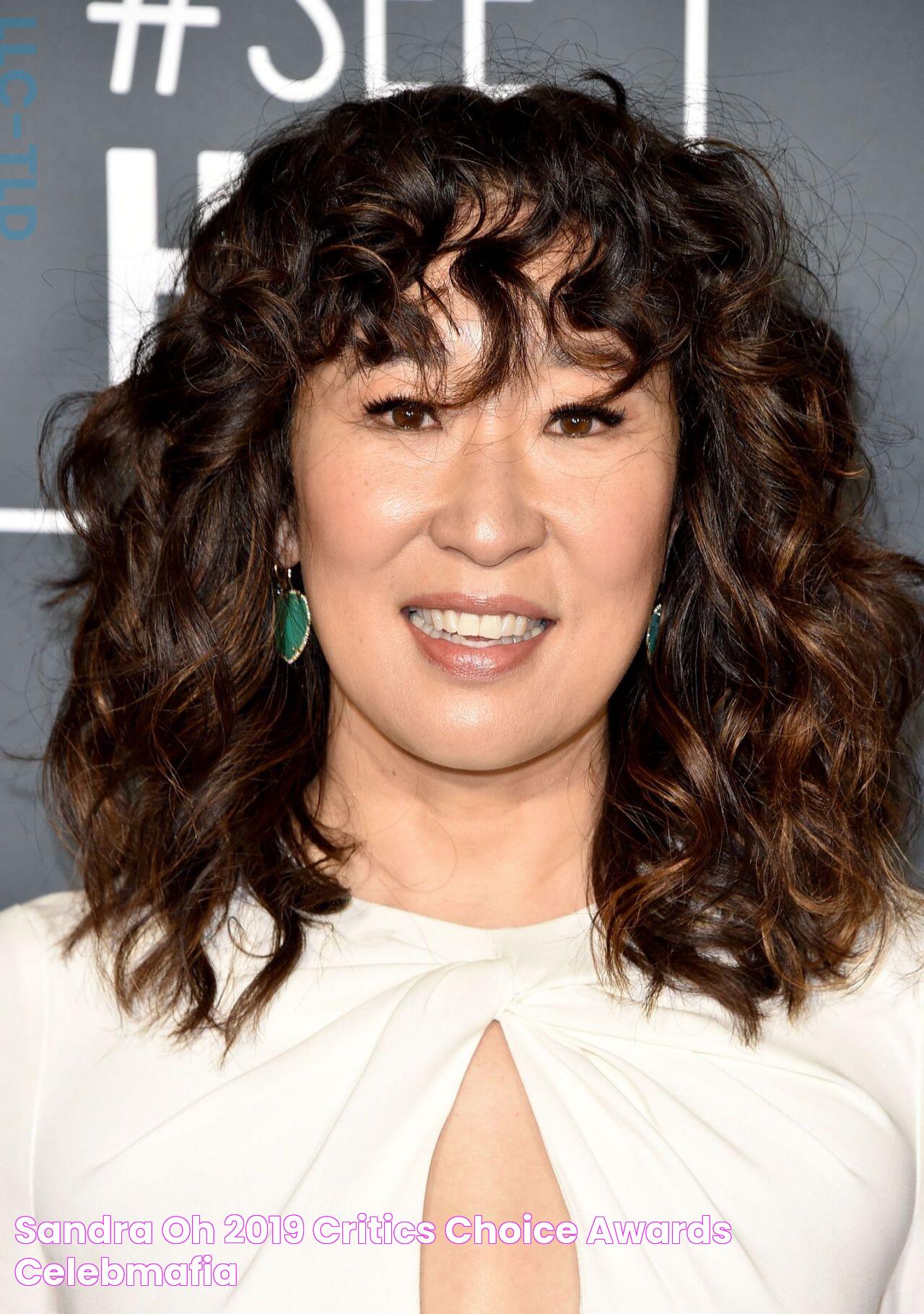 Sandra Oh 2019 Critics' Choice Awards • CelebMafia