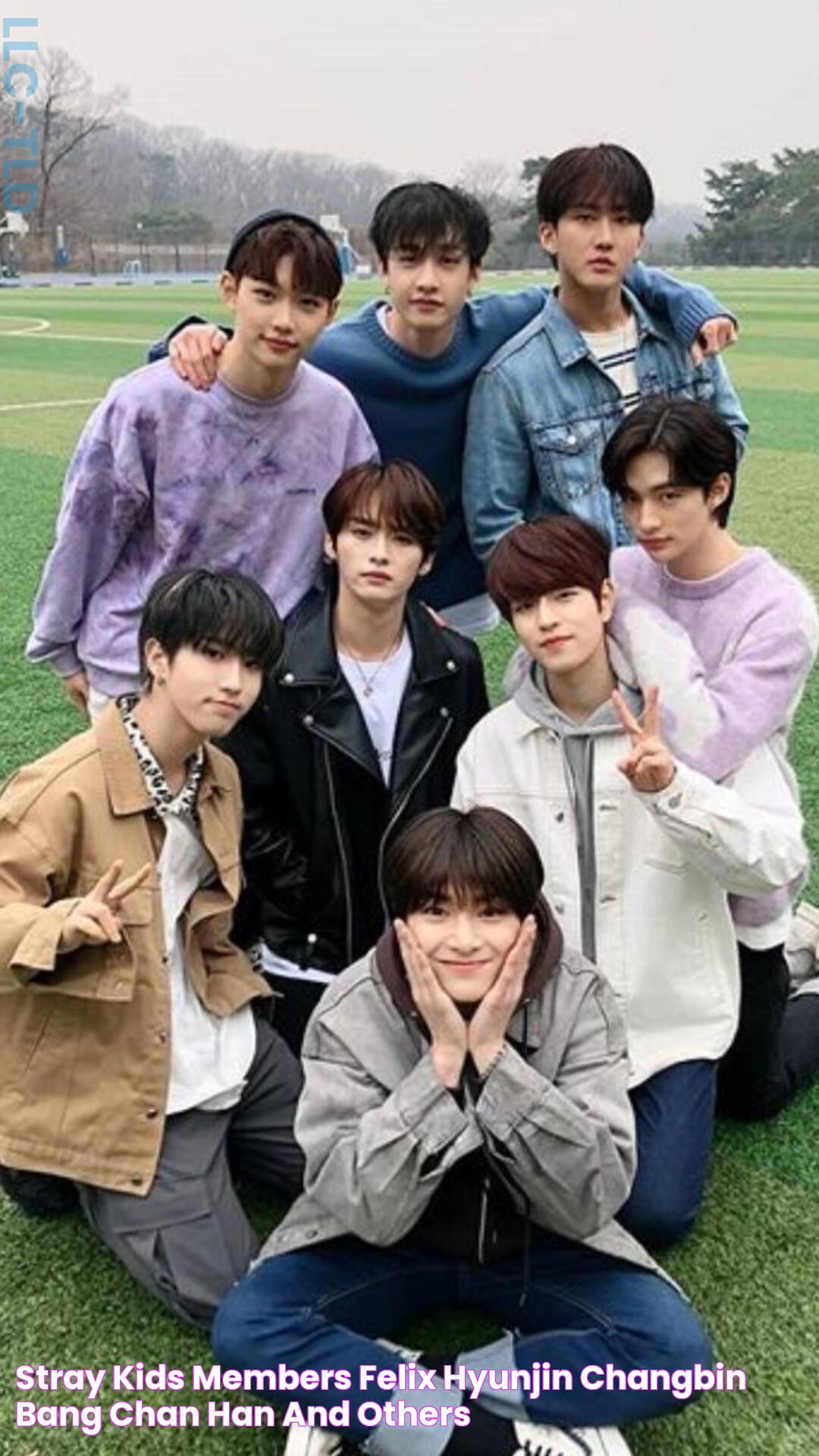 Stray Kids Members Felix, Hyunjin, Changbin, Bang Chan, Han and others