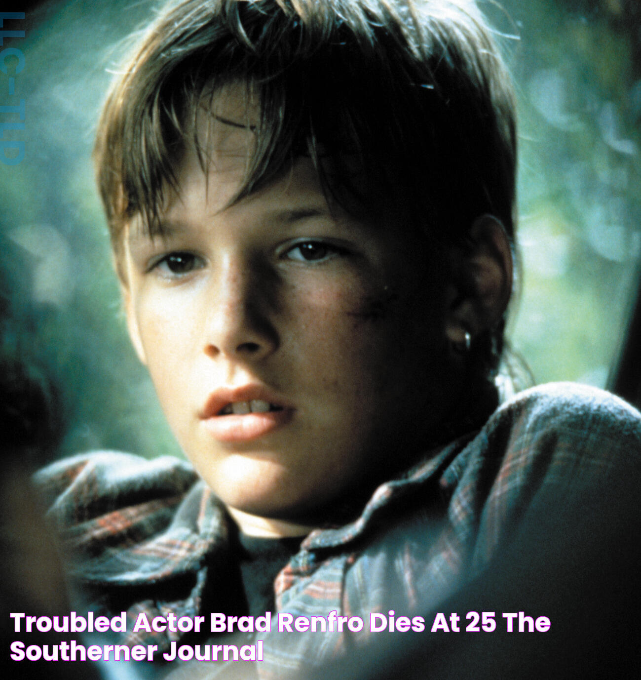 Troubled Actor Brad Renfro Dies at 25 The Southerner Journal