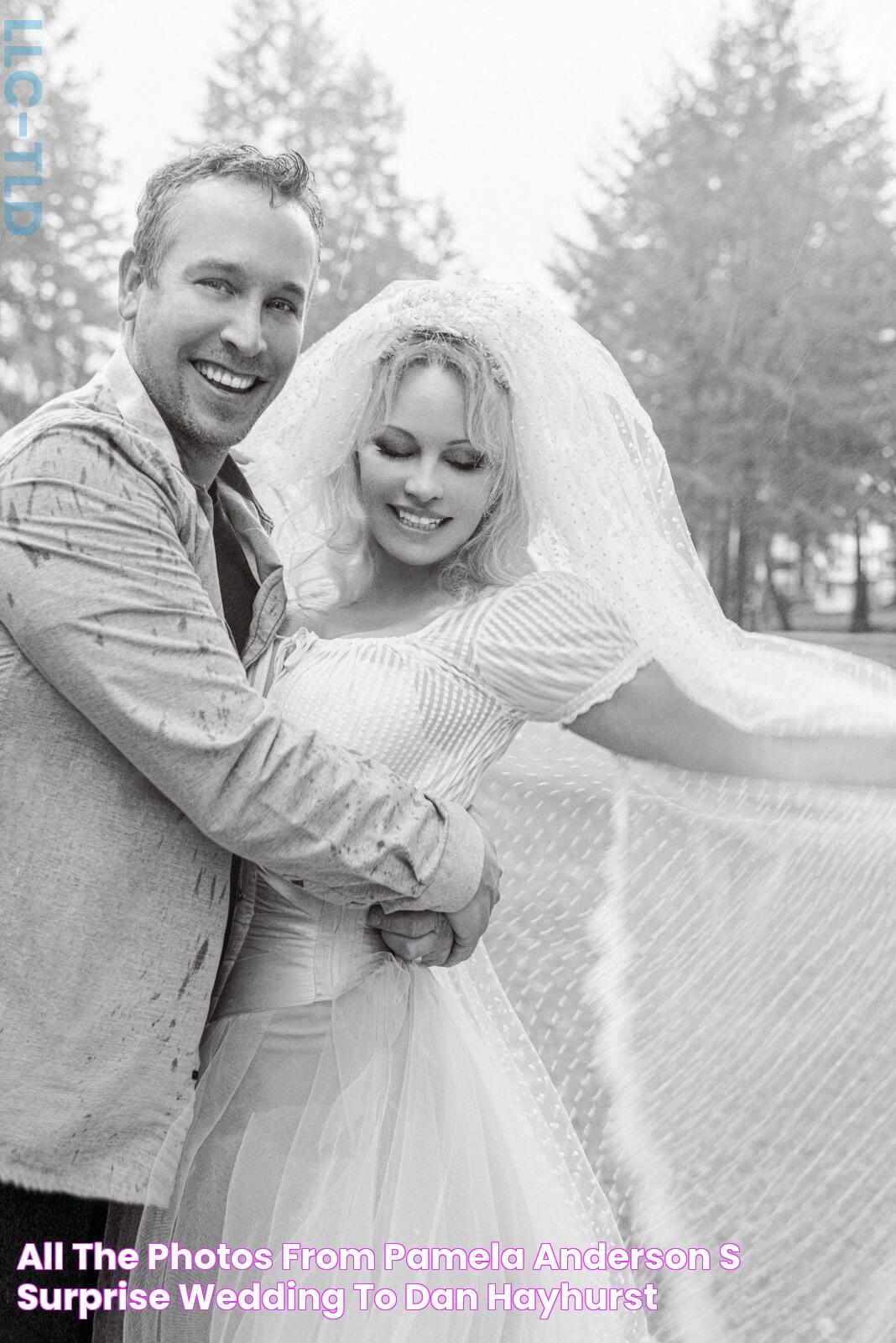 All the Photos from Pamela Anderson's Surprise Wedding to Dan Hayhurst