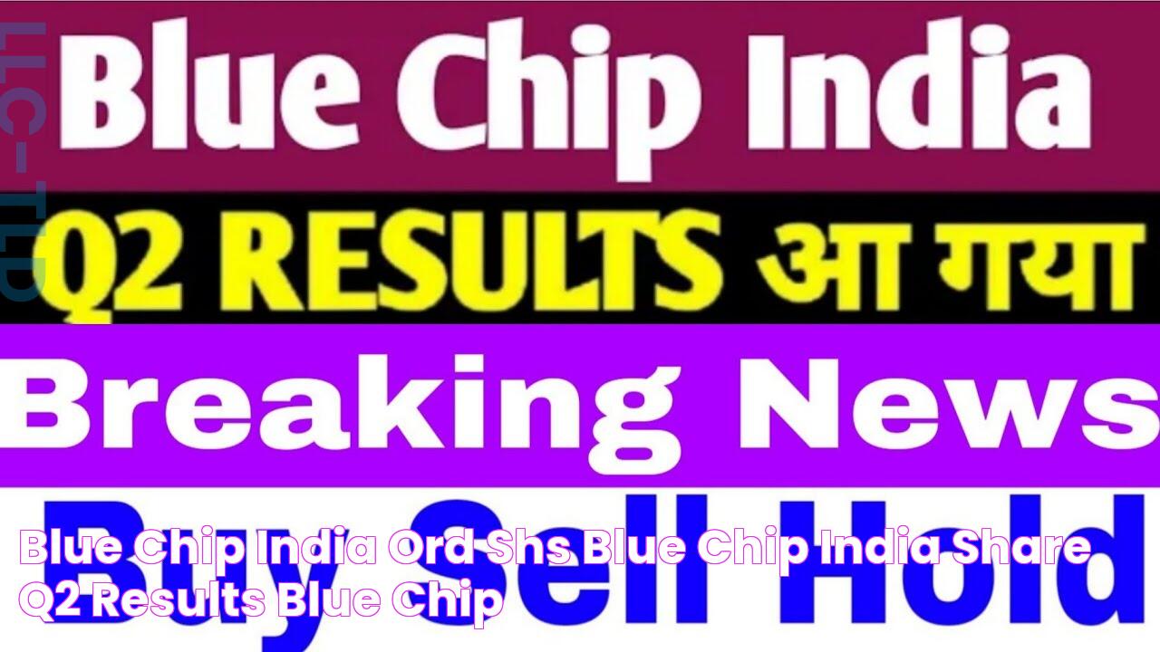 Blue Chip India Ord Shs Blue Chip India Share Q2 Results Blue Chip