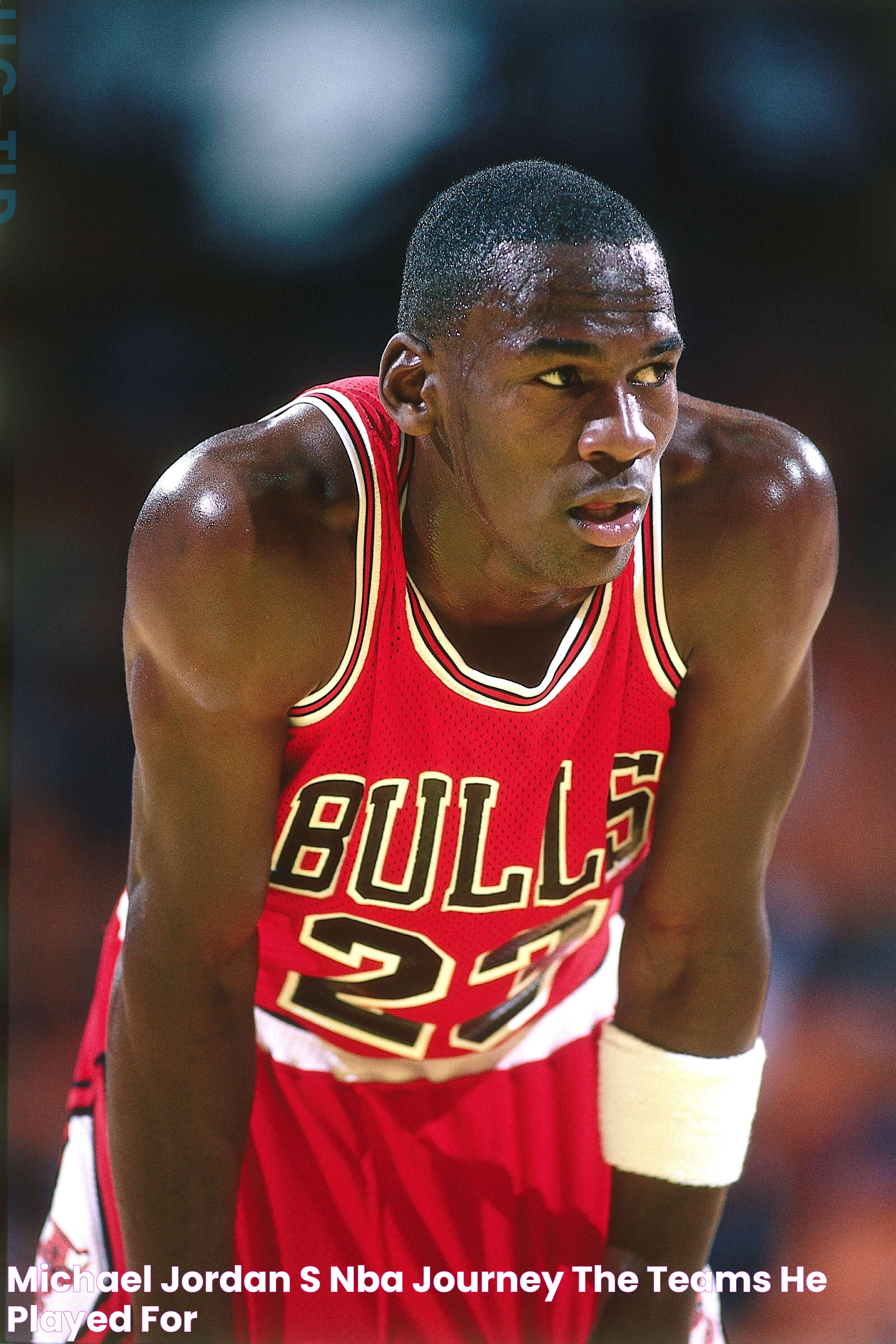 Michael Jordan's NBA Journey The Teams He Played For